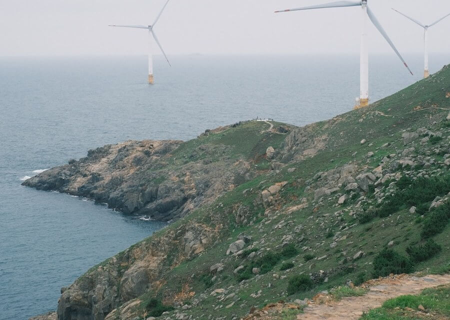 Wind turbines on a green coastline