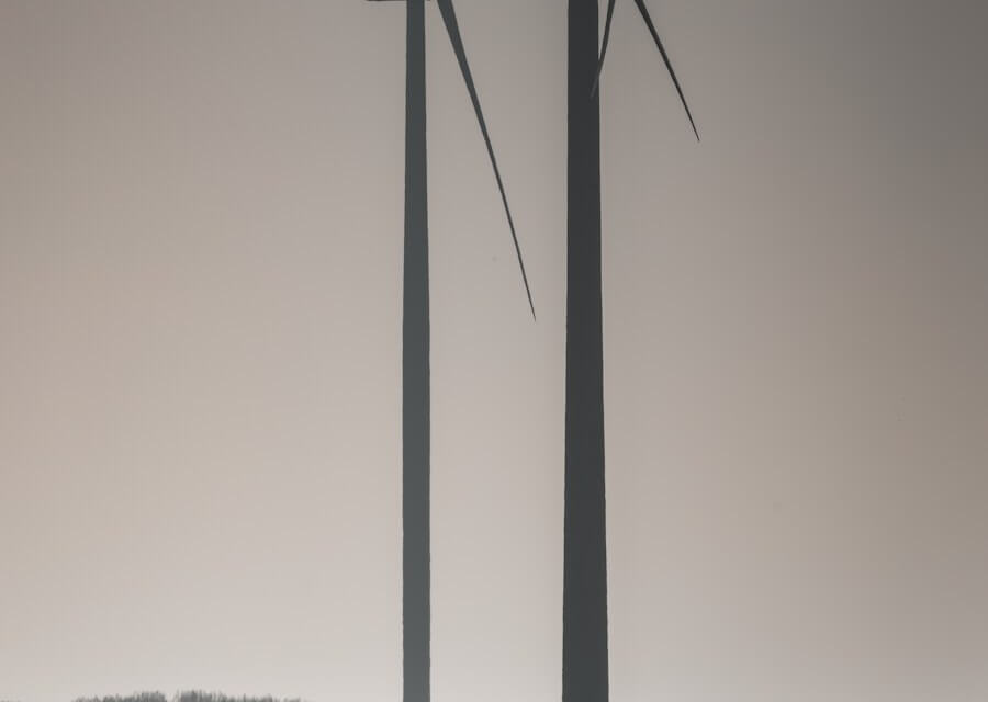 Two wind turbines over a rural landscape